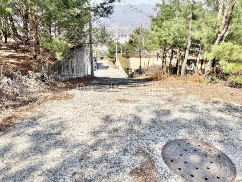 양평군 양서면 대심리 6번국도 우수한 접근성및 강조망 토지_9