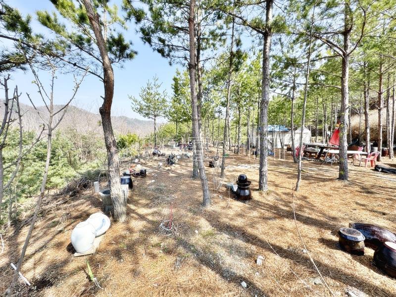 양평군 양서면 대심리 6번국도 우수한 접근성및 강조망 토지_18