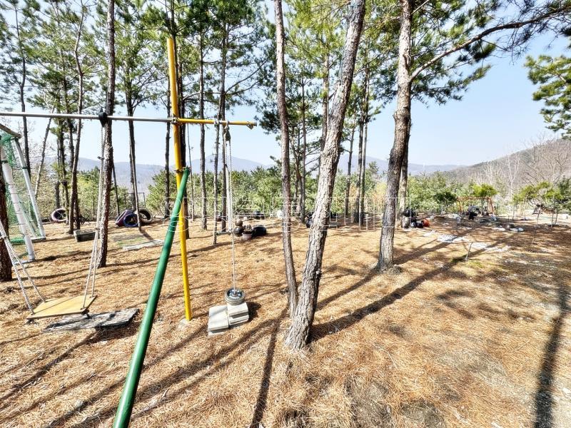 양평군 양서면 대심리 6번국도 우수한 접근성및 강조망 토지_21