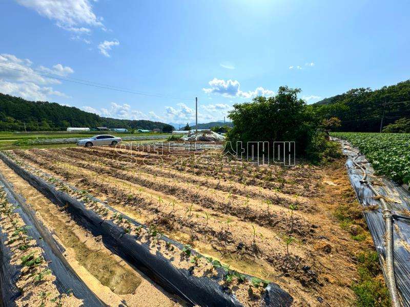 양평군 양서면 부용리 도시지역 답,_2