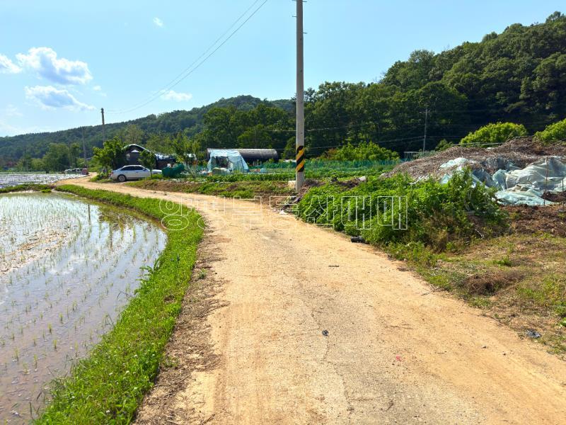 양평군 양서면 부용리 도시지역 답,_7