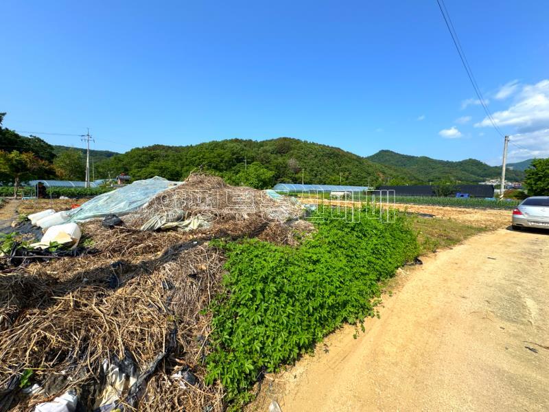 양평군 양서면 부용리 도시지역 답,_9