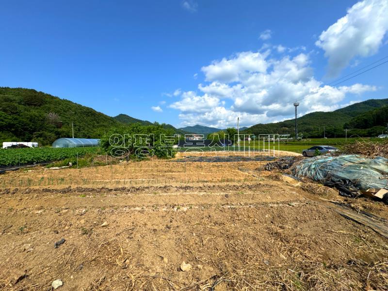 양평군 양서면 부용리 도시지역 답,_10