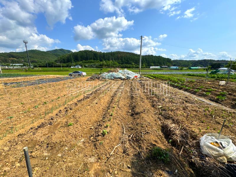 양평군 양서면 부용리 도시지역 답,_11