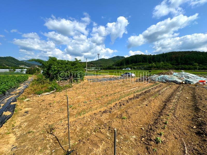 양평군 양서면 부용리 도시지역 답,_12