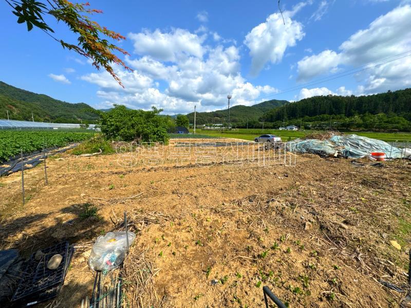 양평군 양서면 부용리 도시지역 답,_13