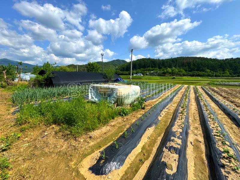 양평군 양서면 부용리 도시지역 답,_14