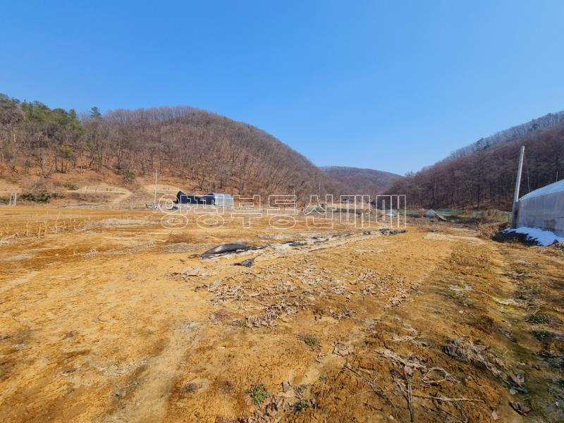 경기도 광주시 퇴촌면 무수리132-4_4