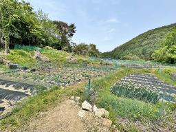 경기도 광주시 퇴촌면 도수리 전,답 임야_썸네일_3