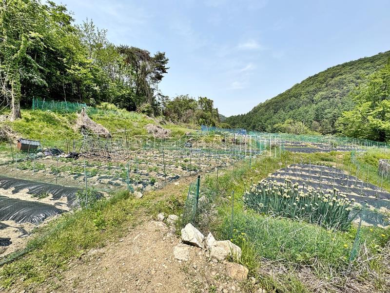 경기도 광주시 퇴촌면 도수리 전,답 임야_3