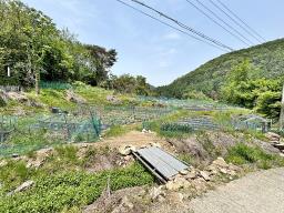 경기도 광주시 퇴촌면 도수리 전,답 임야_썸네일_5