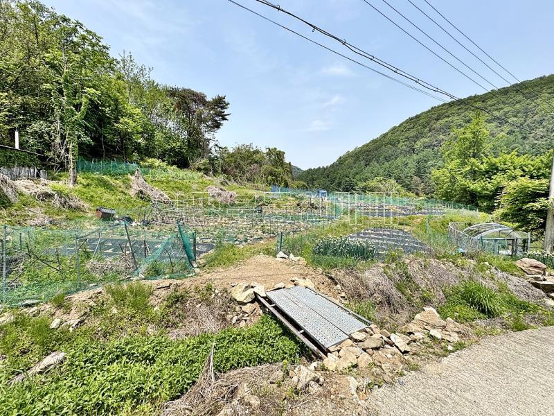 경기도 광주시 퇴촌면 도수리 전,답 임야_5