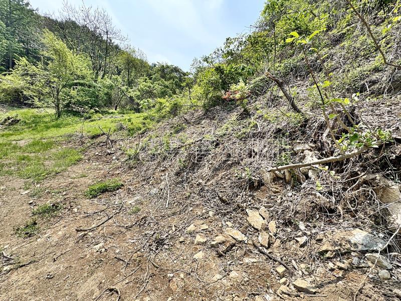 경기도 광주시 퇴촌면 도수리 전,답 임야_18