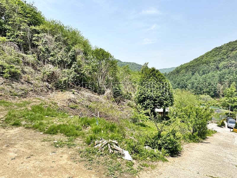 경기도 광주시 퇴촌면 도수리 전,답 임야_20