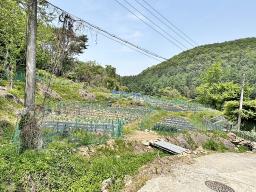 경기도 광주시 퇴촌면 도수리 전,답 임야_썸네일_21