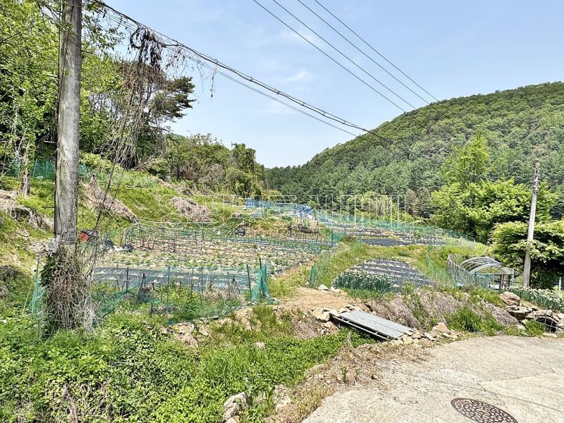 경기도 광주시 퇴촌면 도수리 전,답 임야_21