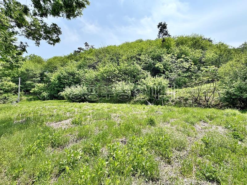 경기도 광주시 퇴촌면 도수리 전,답 임야_22