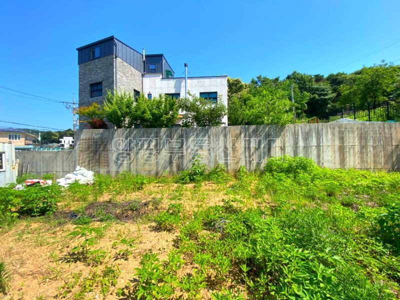 양평군 옥천면 아신리 역세권 토지_6