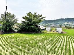 양평군 옥천면 옥천리 답. 평지