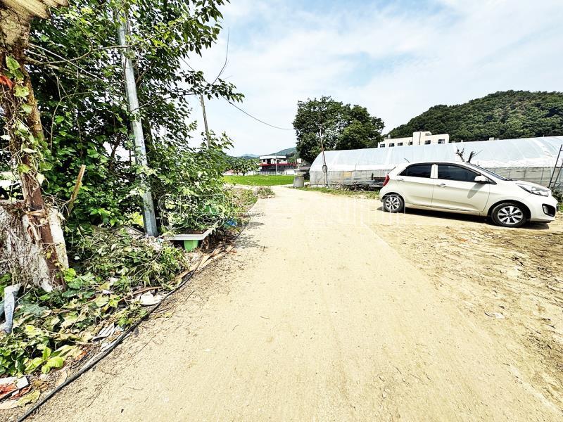 양평군 옥천면 옥천리 답. 평지_18
