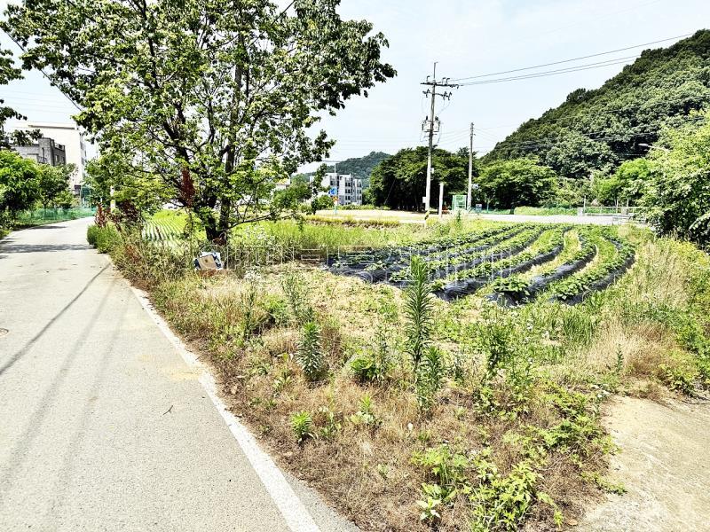 양평군 옥천면 옥천리 2차선변 계획관리 토지_1