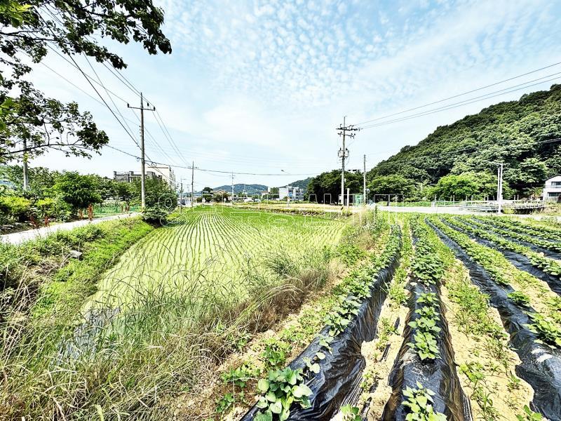 양평군 옥천면 옥천리 2차선변 계획관리 토지_6