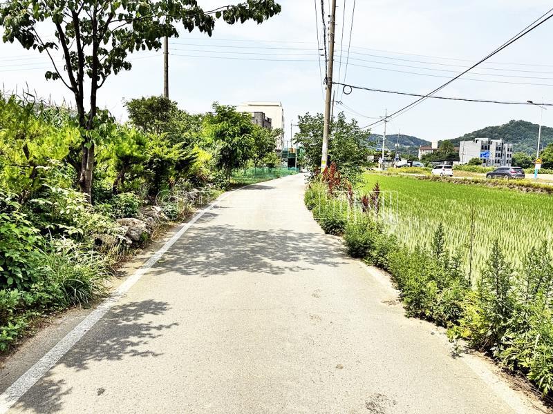 양평군 옥천면 옥천리 2차선변 계획관리 토지_18