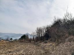 양평군 옥천면 옥천리 사업부지_썸네일_9