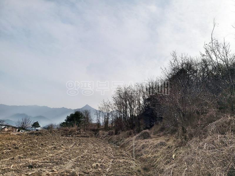 양평군 옥천면 옥천리 사업부지_9