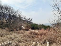 양평군 옥천면 옥천리 사업부지_썸네일_10