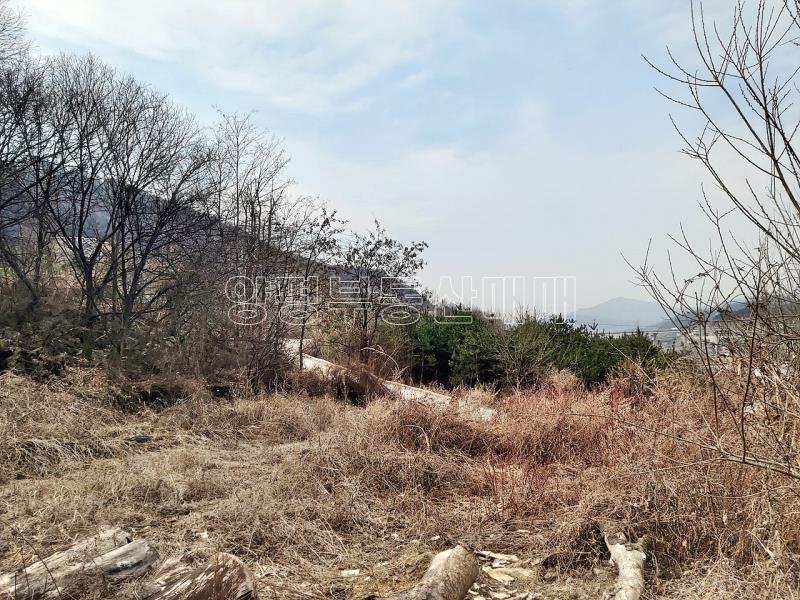 양평군 옥천면 옥천리 사업부지_10