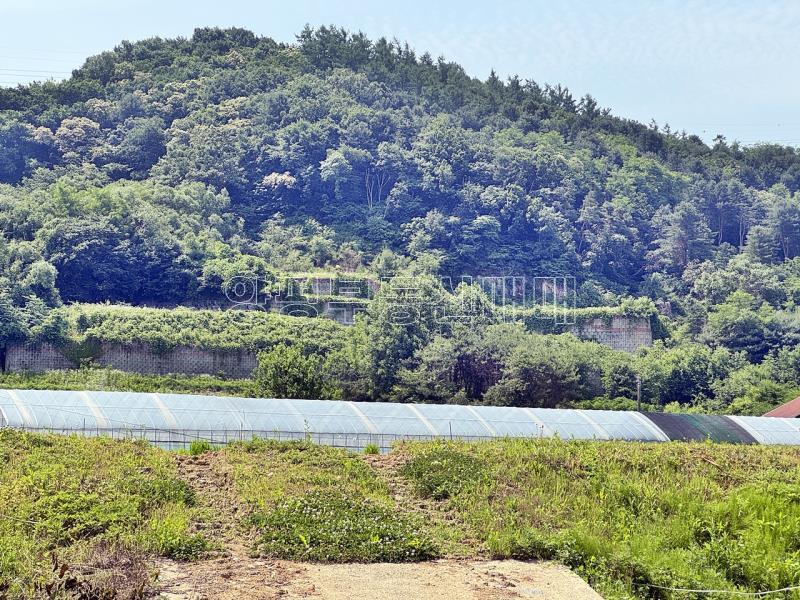 양평군 옥천면 옥천리 사업부지_11