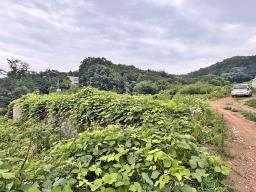 경기도 여주시 금사면 금사리 보전관리지역