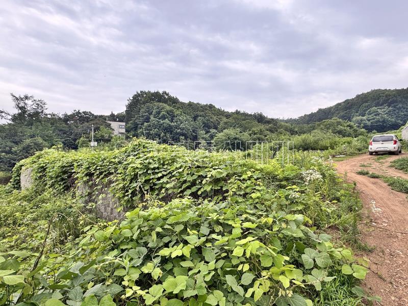경기도 여주시 금사면 금사리 보전관리지역_1