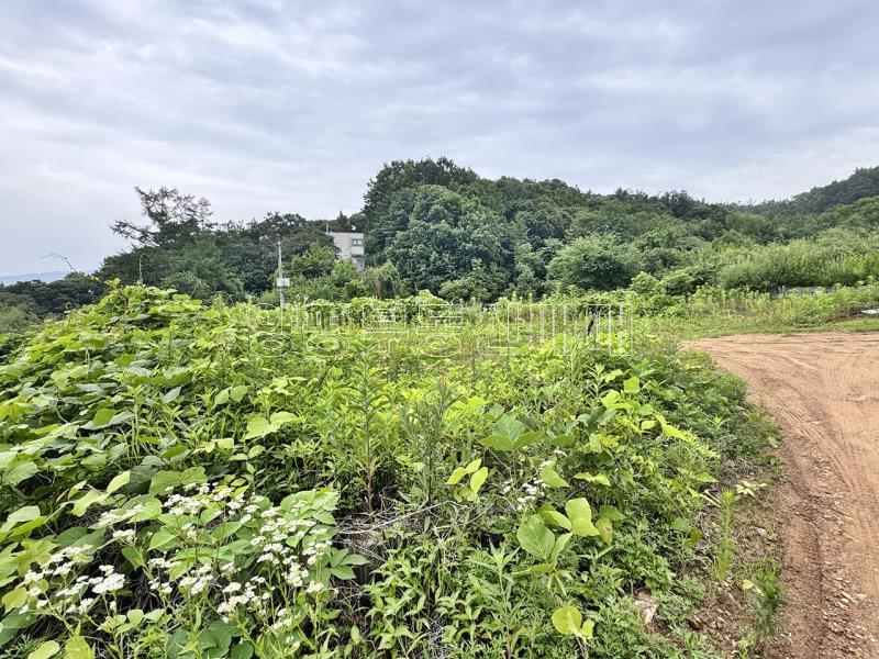 경기도 여주시 금사면 금사리 보전관리지역_2