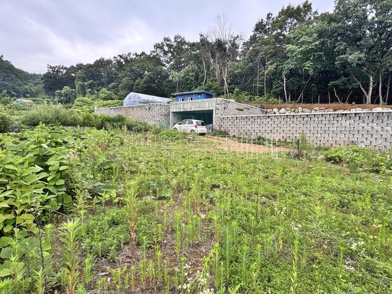 경기도 여주시 금사면 금사리 보전관리지역_4