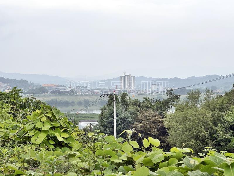 경기도 여주시 금사면 금사리 보전관리지역_6