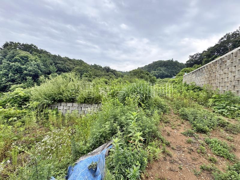 경기도 여주시 금사면 금사리 보전관리지역_7