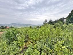 경기도 여주시 금사면 금사리 보전관리지역_썸네일_11