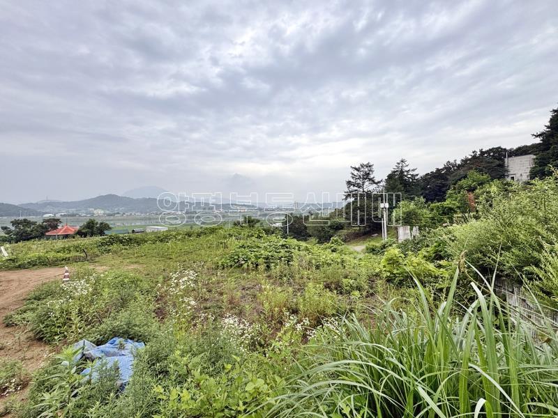 경기도 여주시 금사면 금사리 보전관리지역_12