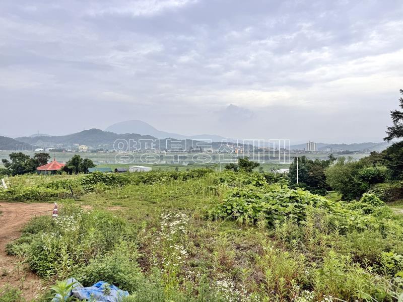 경기도 여주시 금사면 금사리 보전관리지역_13