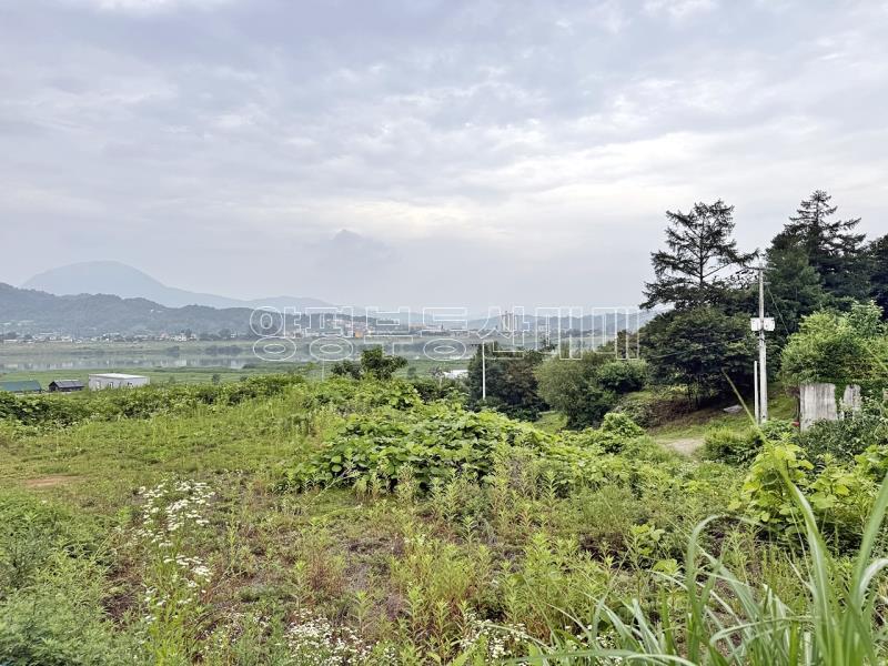 경기도 여주시 금사면 금사리 보전관리지역_14