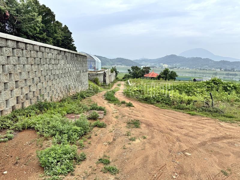 경기도 여주시 금사면 금사리 보전관리지역_15