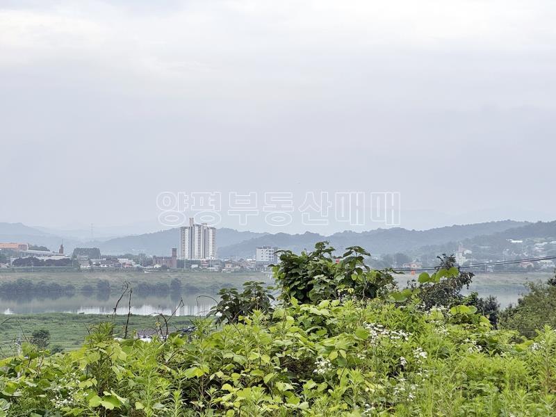 경기도 여주시 금사면 금사리 보전관리지역_22