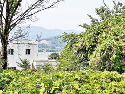 양평군 양서면 대심리 강조망 토지_썸네일_9