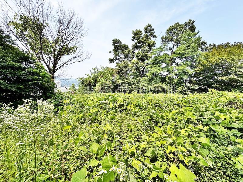 양평군 양서면 대심리 강조망 토지_10