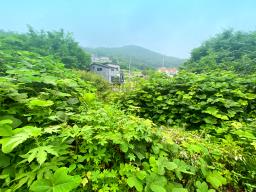 양평군 옥천면 남향의 전망좋은토지_썸네일_1