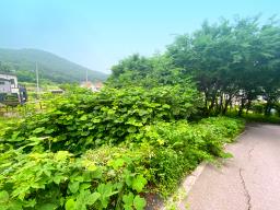 양평군 옥천면 남향의 전망좋은토지_썸네일_2