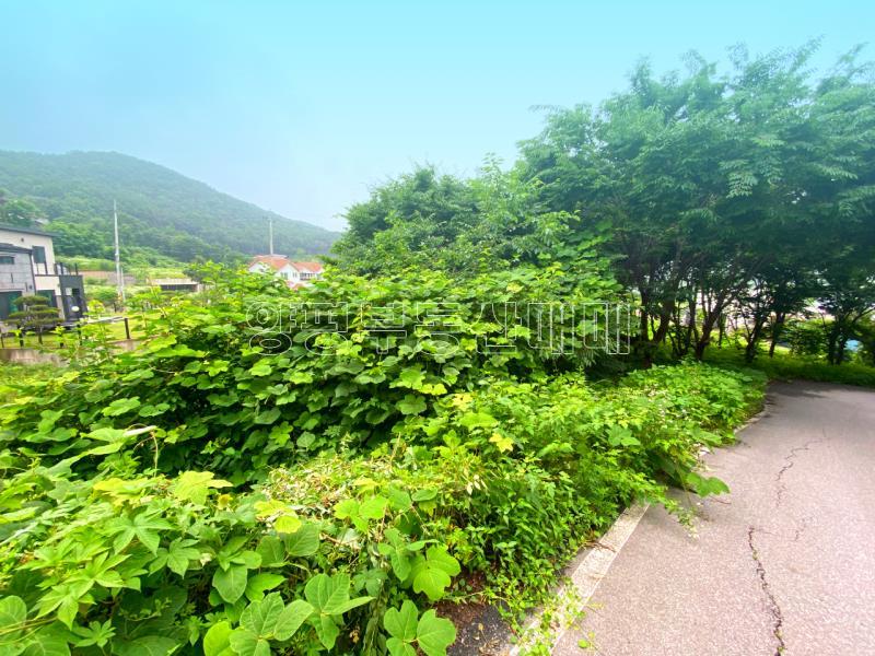 양평군 옥천면 남향의 전망좋은토지_2