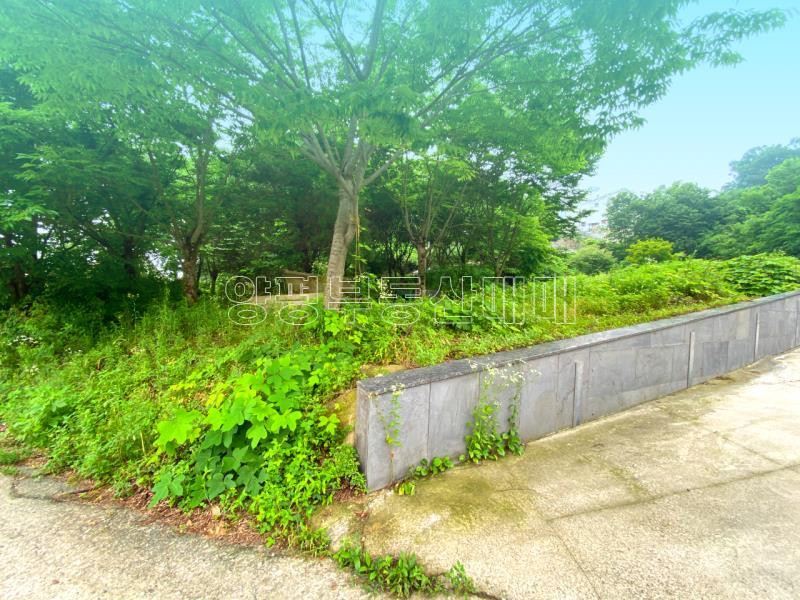 양평군 옥천면 남향의 전망좋은토지_15